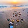 nabeel__20