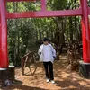 mrshyboy9