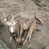 wywhy00