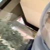 karm4waifu