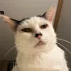 hhungmanh