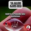 sulishamza