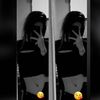 pachrrex_