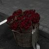 userjbzxmcb7wq
