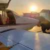 lsoliver86