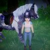 crazyy_horse