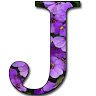 thepurplesupercow