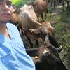 joelcortes582
