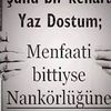 yusufcakar6380
