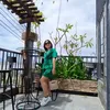 thitruongtrinh