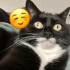 wesitow