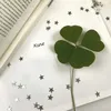 kaiuvinny3