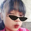 cacaferedika2