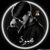 mahmoudayt12