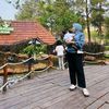 dew1tari