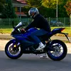 ts_spider12