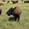 usa_national_parks