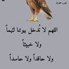 hanyi791