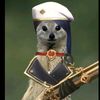 pdlovermeow