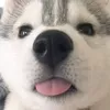 justbekind69