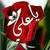 husseinhussein2497