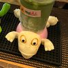 bilbil