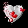 user855145223