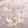 abeer923