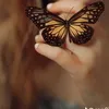 omali6979