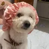 7thhcloud