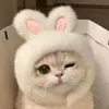 luongtrang2991