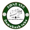 ደመካሽ Tube