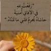 dailyalkamar3