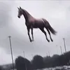 uejshenejxhwkpwnxne