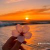 fatma.mahmoud4235
