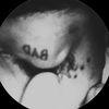 6743a