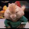 lumbada_brende
