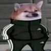 sarkasjcbb