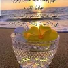 salmaomamir7