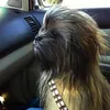chewiechewbaaarker