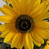 nature_lover_janine367