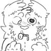 drawg0nfruit