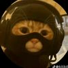 hiraishin23