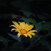 phamhung_sos