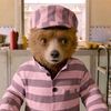 paddingtonbearfanaccount