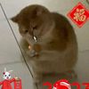 kishoud.takumi