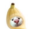 wongjowolee0
