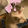 halieel