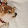 hnglnnn
