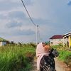 Yunaw96